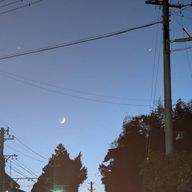 夜型人間☪︎さんのアイコン画像