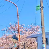 かや🍀✨さんのアイコン画像