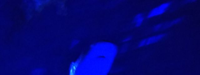 ⁠⁠⁠ゆう.⁠｡⁠*⁠🧣さんの壁紙画像