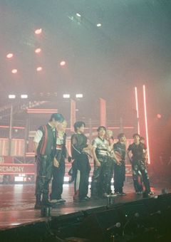 今日好きになりました