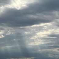 七海さんのアイコン画像