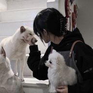 𝐚𝐨𝐢さんのアイコン画像
