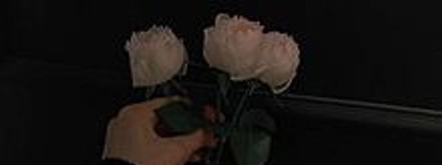 渡 .さんの壁紙画像