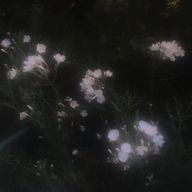 ♡ ♩さんのアイコン画像