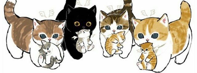 rin🪶🌱@男装女子っていいよねさんの壁紙画像