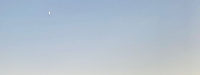 るぱてさんの壁紙画像