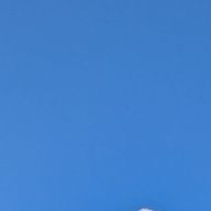 🫣さんのアイコン画像