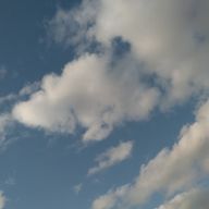 まゆみ3さんのアイコン画像