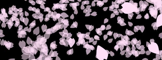 桜吹雪 🎤💚‪❤️‪🩵🎤さんの壁紙画像