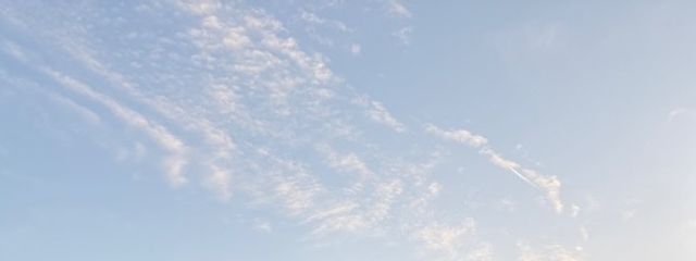 𝕟𝕒𝕥𝕤𝕦🦈🫧さんの壁紙画像