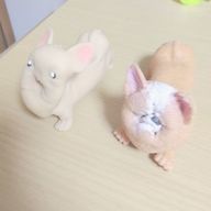 CCC婆婆miさんのアイコン画像