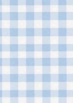 ┆君を忘れる恋がしたい