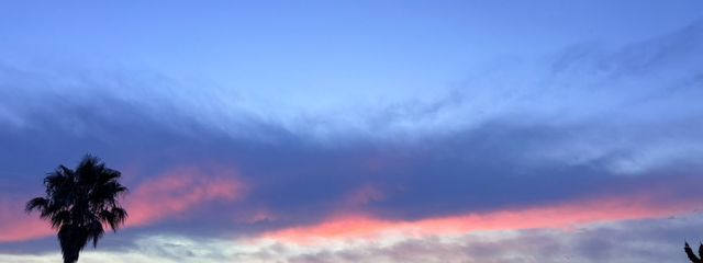 夜桜しぇいく(旧アズ) 無差別以外フォロバ100%!さんの壁紙画像