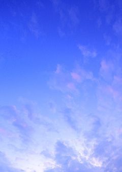 かんぼの〜と🍀.⋆