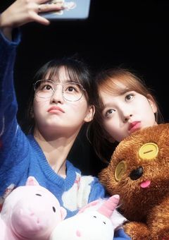 君と見る最後の桜