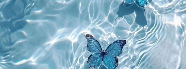 ｳﾕ🌸🎮️☁️　　相互フォローはお知らせの最新話からさんの壁紙画像