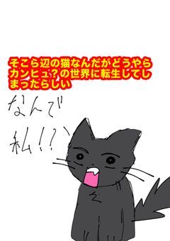 そこら辺の猫なんだがどうやらカンヒュ？の世界に転生きてしまったらしいにゃ