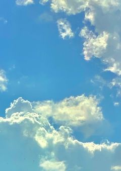 【参加型】#あのｺは兄貴のひとりじめ