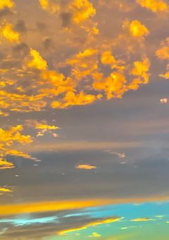 # にの を 知らなかった だけなのに ! !