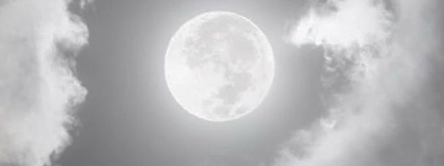 　く る る .さんの壁紙画像