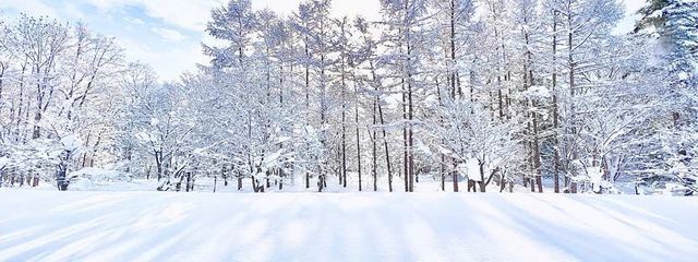 Snow mans Lifeさんの壁紙画像