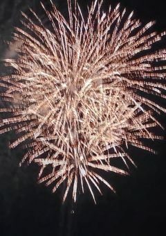 かんぼとやらやってみた!