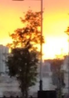 ＃兄が9人できちゃった！？