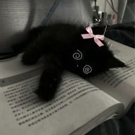 木村ちゃまさんのアイコン画像