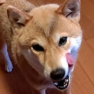 まりいにさんのアイコン画像