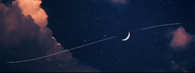 深夜 ミアさんの壁紙画像