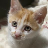 ゆーさんのアイコン画像