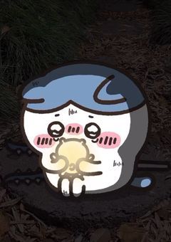 ^o̴̶̷ᴗo̴̶̷^昼夜逆てーん^o̴̶̷ᴗo̴̶̷^