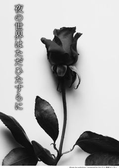 夜の世界はただひたすらに[参加型]