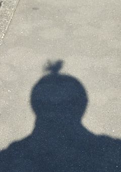 ふぁんね付けてくれる人募集〜！