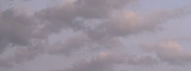 ざらめさんの壁紙画像