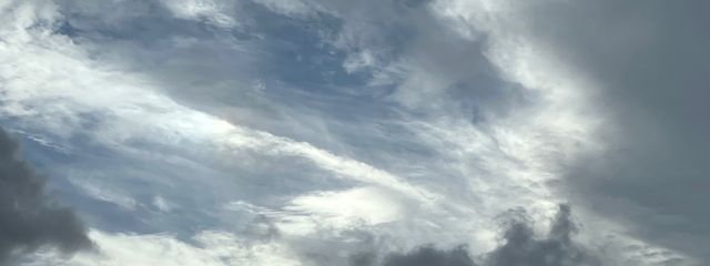 はなのえさんの壁紙画像