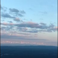 紫キャベツさんのアイコン画像