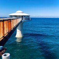 金太郎さんのアイコン画像