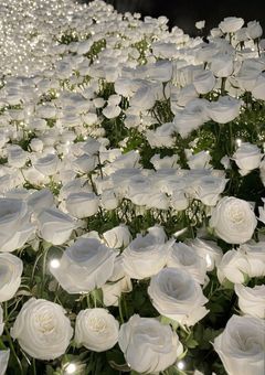 今日、好きになりました。