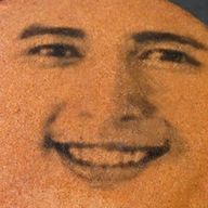 そこら辺に飛んでる虫さんのアイコン画像