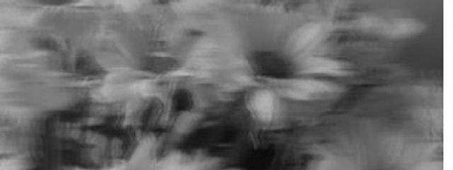 × ̫ ×さんの壁紙画像