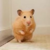 Iuvさんのアイコン画像