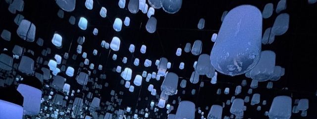 むいさんの壁紙画像