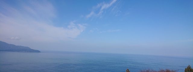 Reinaさんの壁紙画像