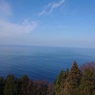 Reinaさんのアイコン画像