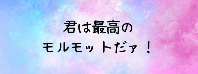 Saki＠最高のモルモットさんの壁紙画像