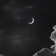 stellaさんのアイコン画像