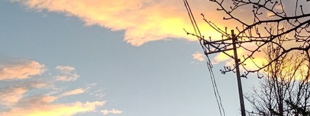 雪葵さんの壁紙画像