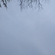 夕陽さんのアイコン画像