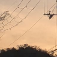 夕陽☘️さんのアイコン画像